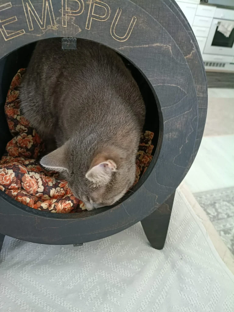 Kissa lepää pehmusteen päällä Noki-sävyisessä pallopesässä, jonka etureunassa lukee EMPPU.